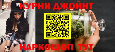 гидра Нальчик